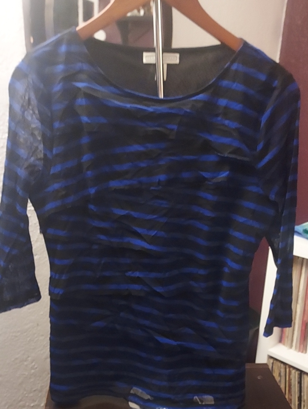Dana Buchman Sheer Striped Long-Sleeve Top - Blue and Black
